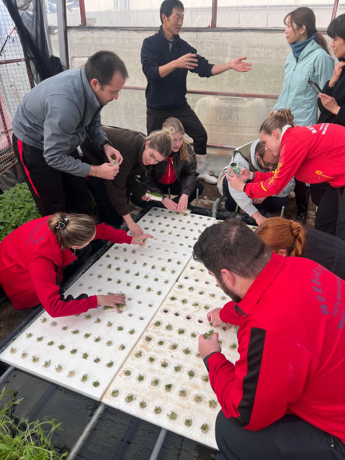 Yakimo: The Sound of Autumn in Japan